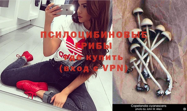 а пвп мука Алзамай