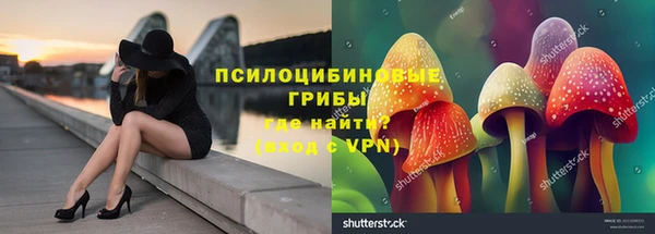 таблы Приозерск
