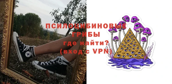эйфоретик Алексин