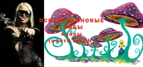 герыч Протвино